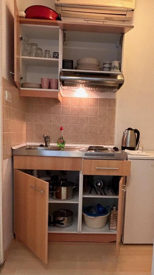 Apartment Alfirev Водице Экстерьер фото